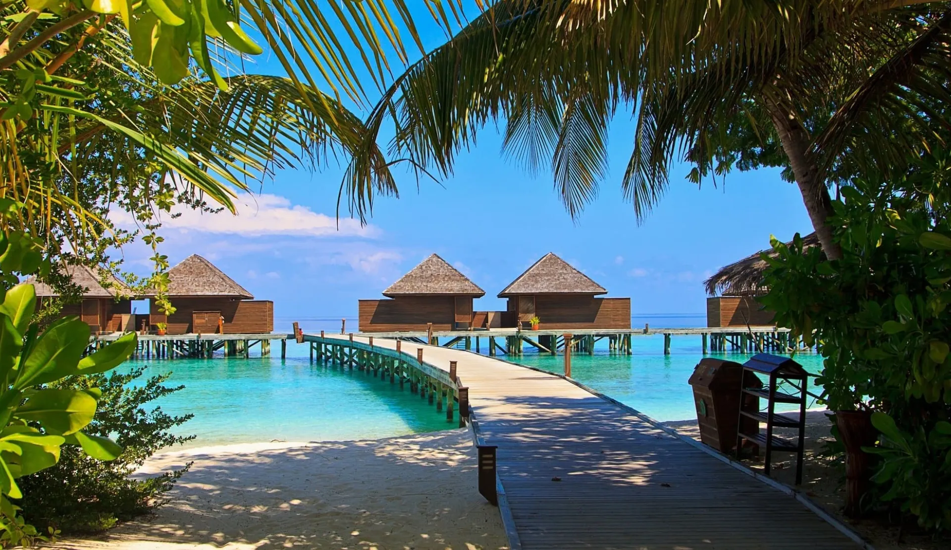 Maldive