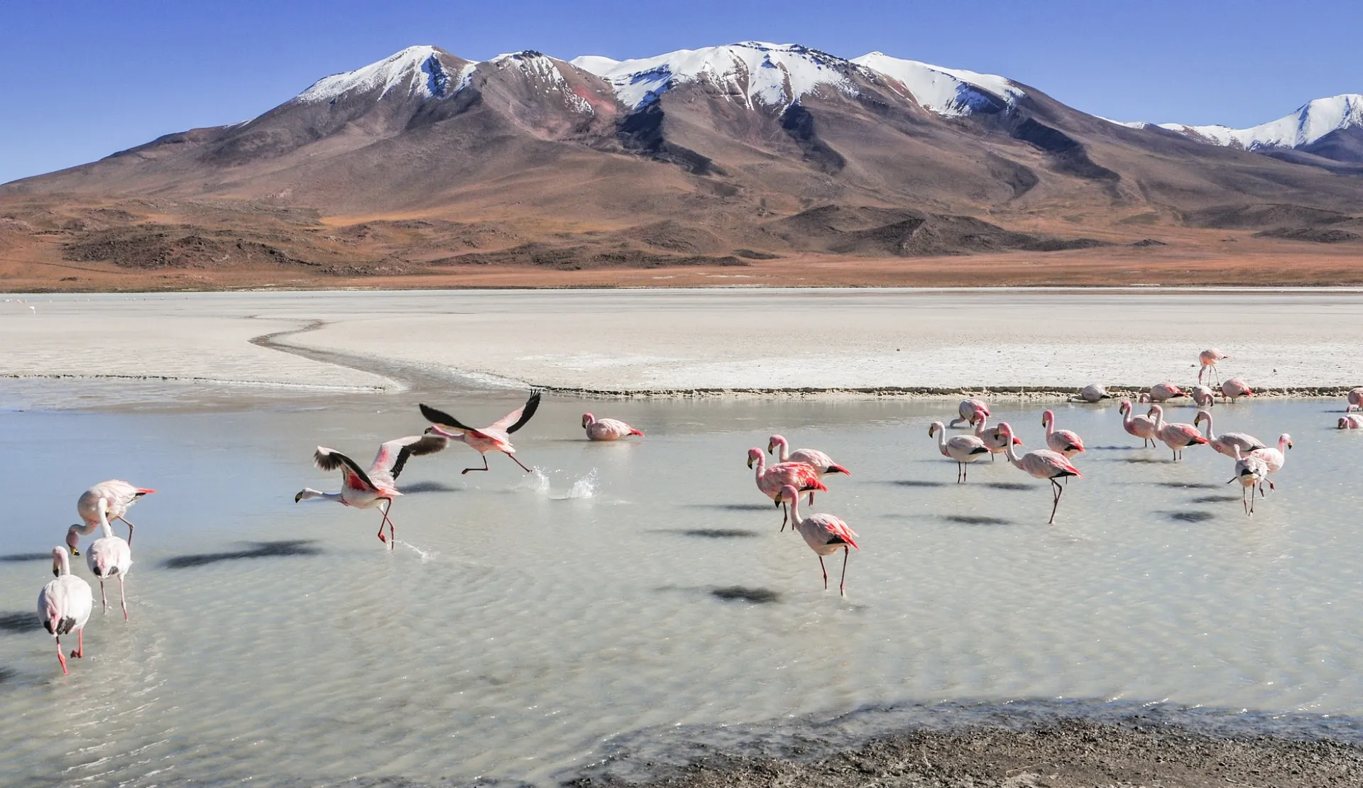 Visita la Bolivia con AnyWhere Viaggi