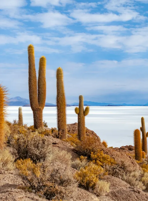 Visita la Bolivia con AnyWhere Viaggi