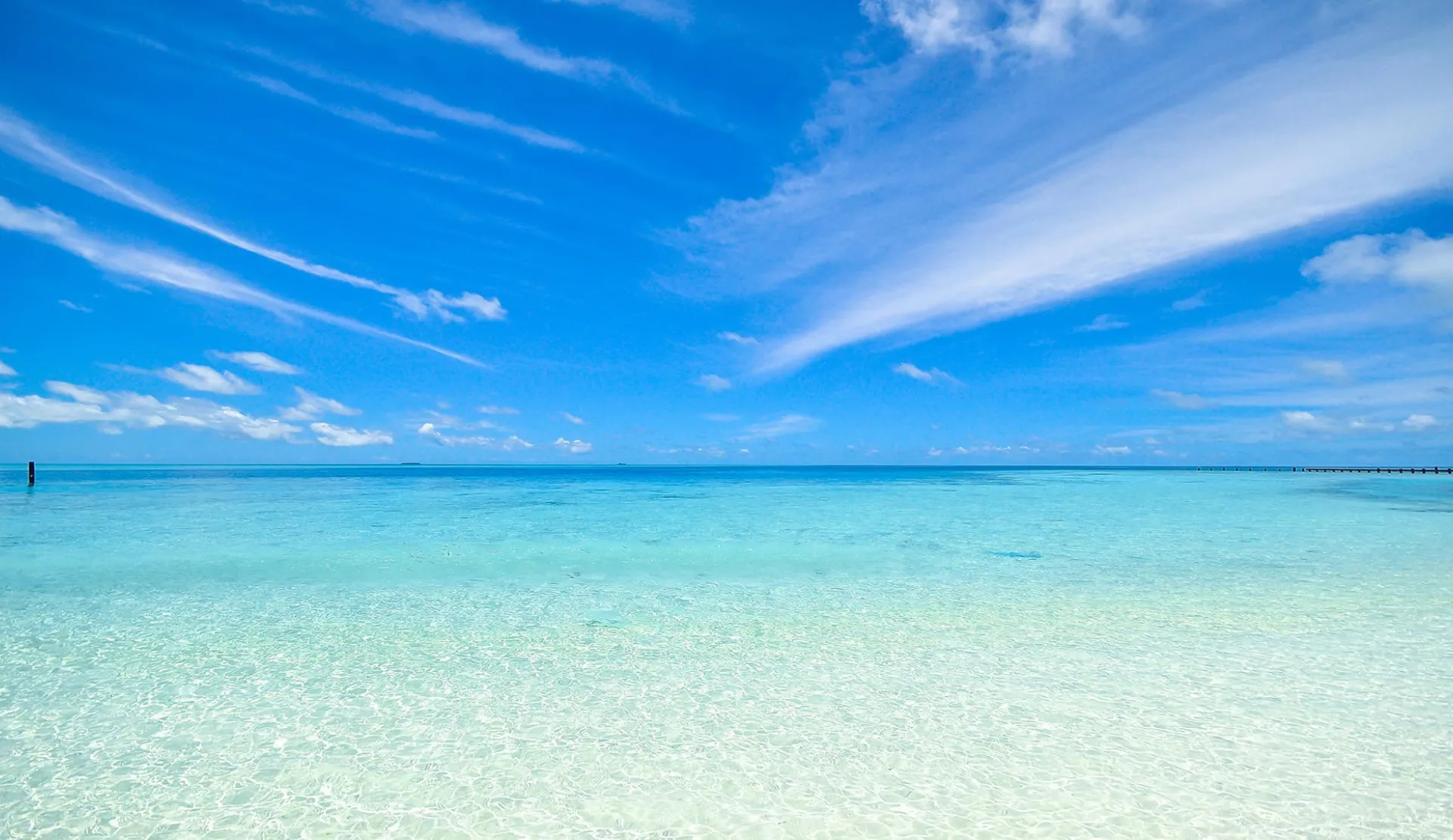 Maldive