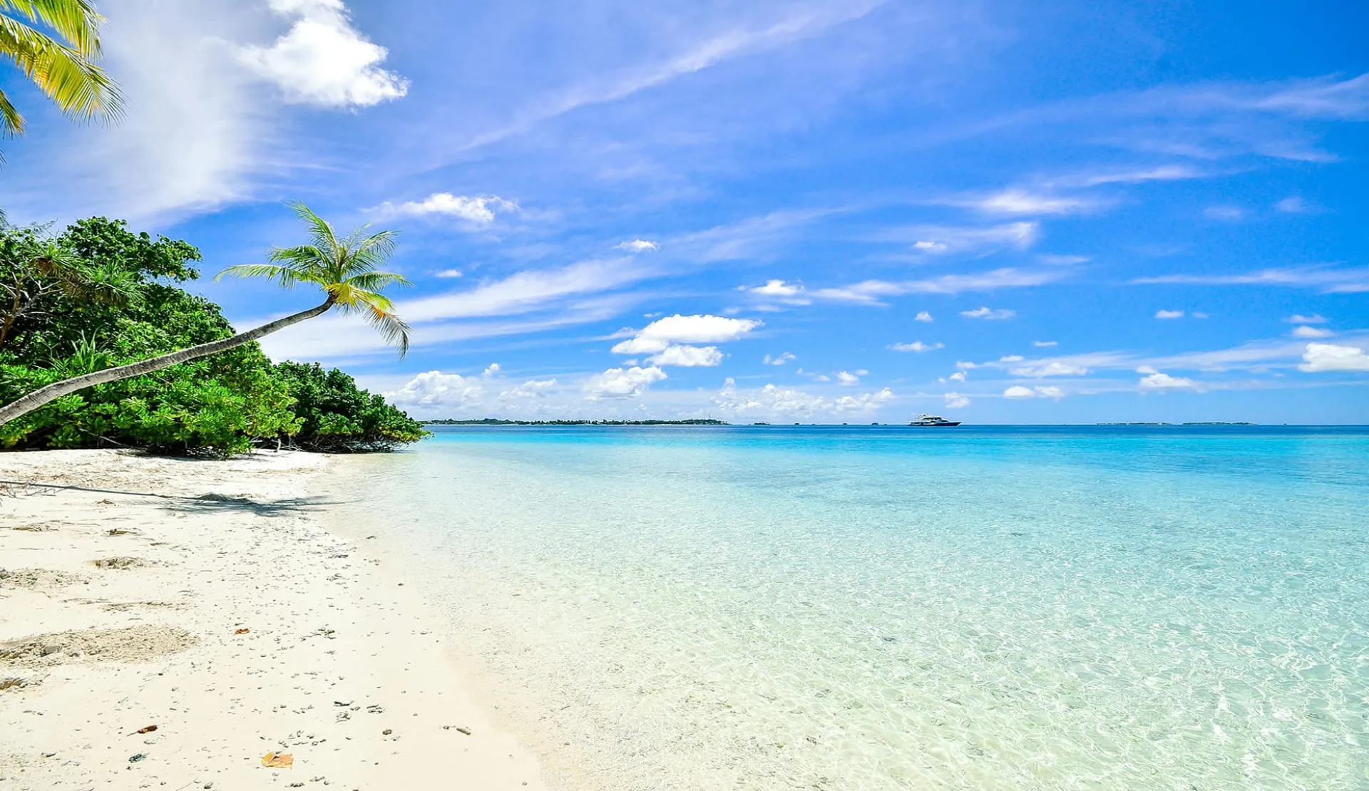 Maldive