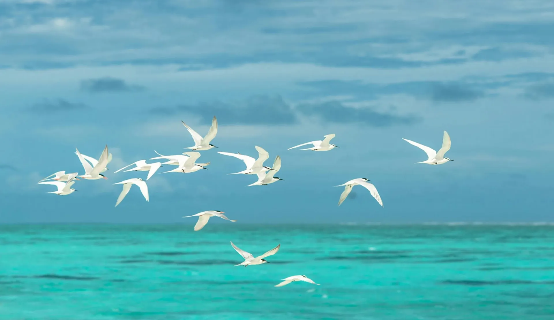 Maldive
