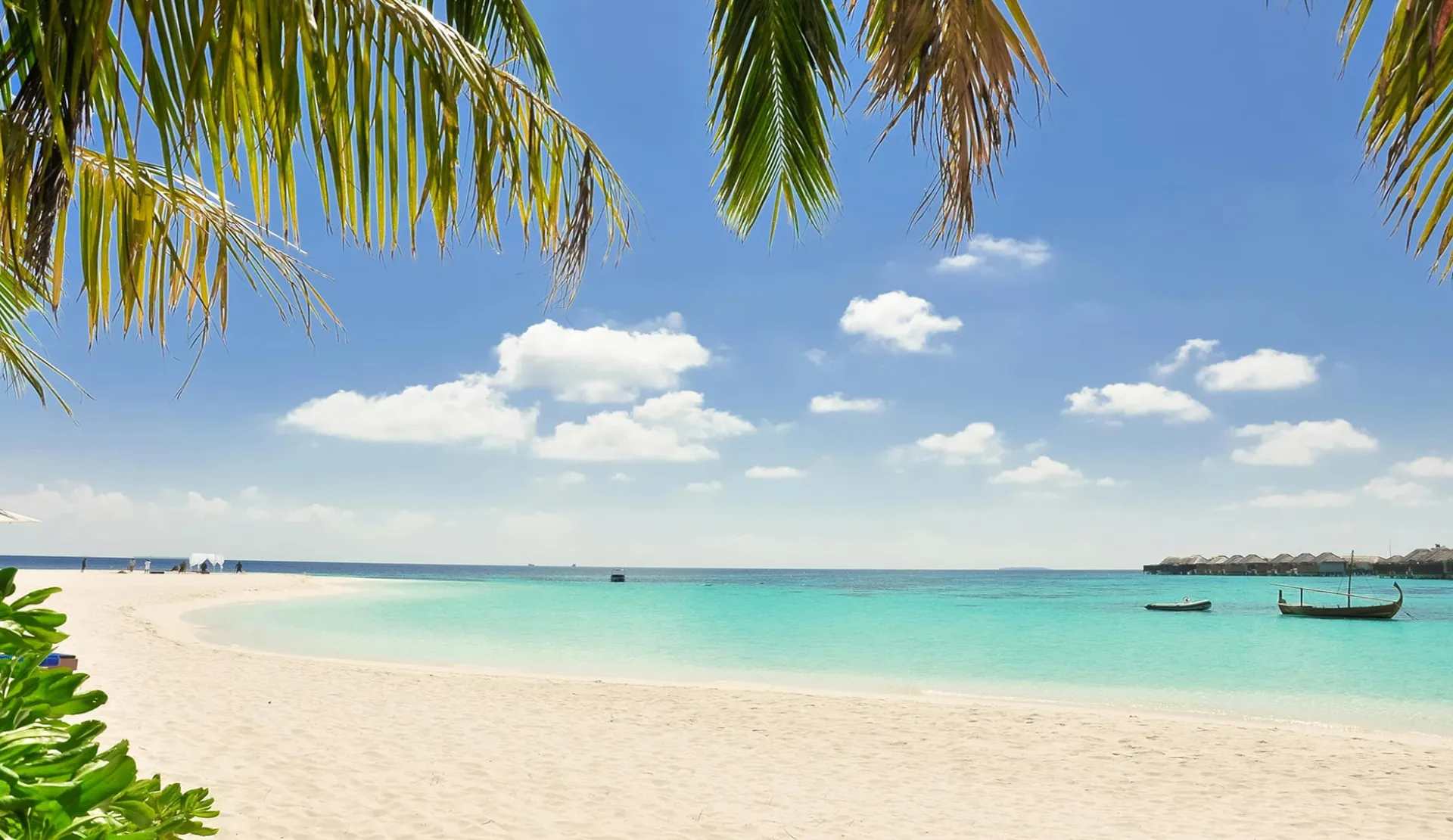 Maldive