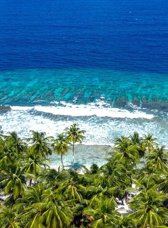 Maldive