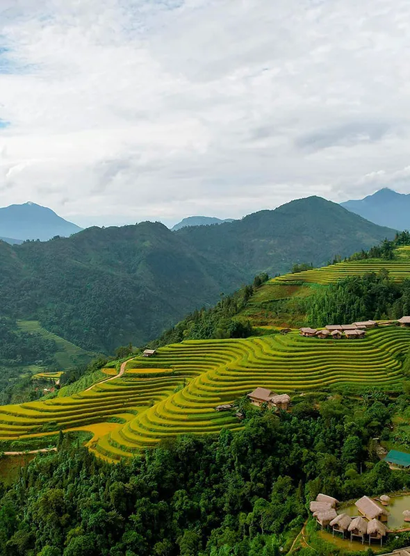 Offerta Viaggio Thailandia Natale E Capodanno 2024 - 2025