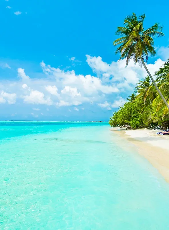 Offerta Speciale Maldive : Furaveri  Resort 5*****
